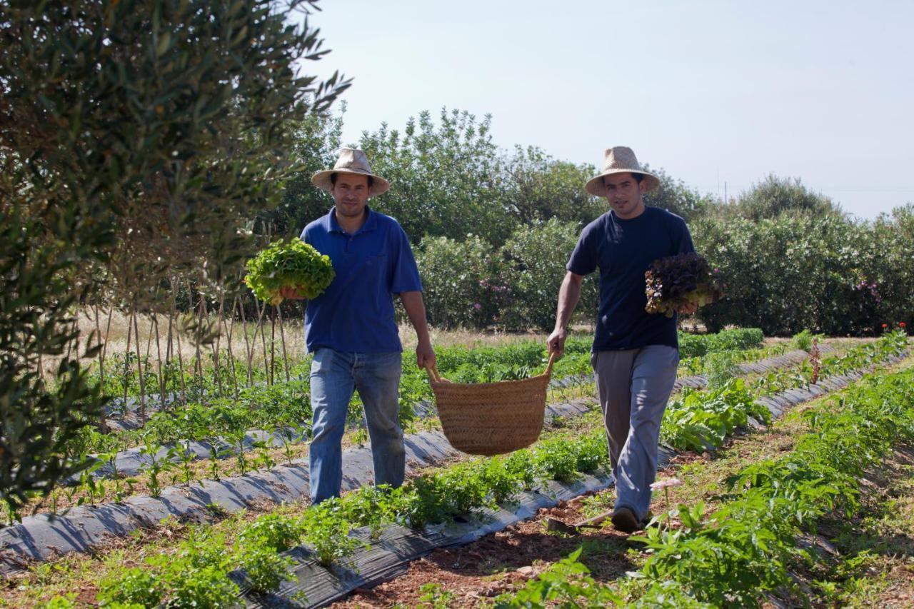 Landhuis Sa Carrotja - Adults Only *